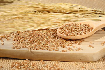 wooden spoon with wheat grains and wheat ears
