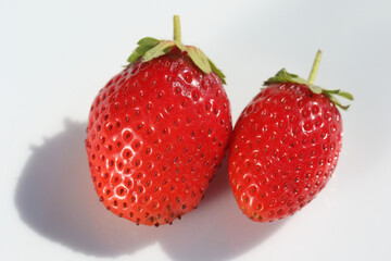 strawberries on a white background