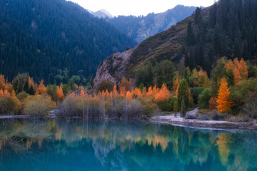 Golden autumn in mountains, Issyk lake surrounded by yellow forest in Almaty, Kazakhstan