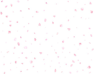 Falling realistic cherry petals.