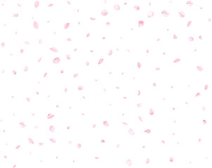 Falling realistic cherry petals.