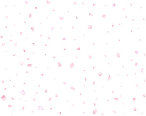 Falling realistic cherry petals.