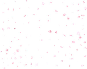 Falling realistic cherry petals.