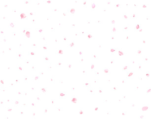 Falling realistic cherry petals.