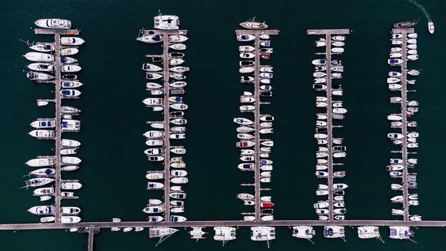 Rows of boats moored in port