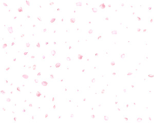 Falling realistic cherry petals.