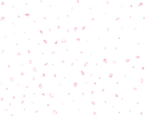 Falling realistic cherry petals.