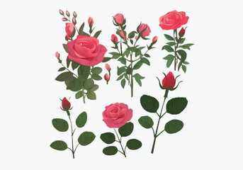 illustration of a rose, Rose logo, vector, line art, sketch rose logo, flower logo, rose set, background. vector logo