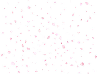 Beautiful delicate cherry petals.