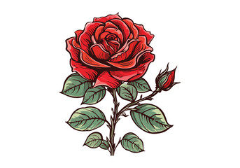 illustration of a rose, Rose logo, vector, line art, sketch rose logo, flower logo, rose set, background. vector logo