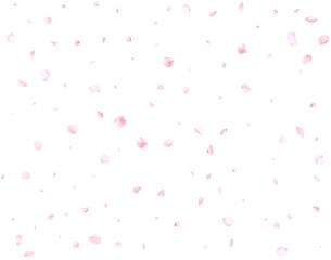 Beautiful delicate sakura petals. © writerfantast