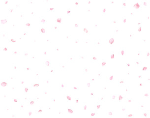 Realistic pink cherry petals.