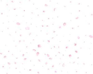 Fototapeta na wymiar Realistic pink cherry petals.