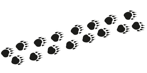 Badger paws. Animal foot traces. Badger black footprints on white background. Flat vector illustration. Design for print, decoration, childrens educational book © Katrinka8888