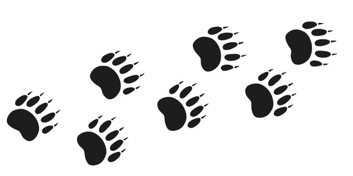 recommend clip art: Bear paws. Animal foot traces. Bear black footprints on white background. Flat vector illustration. Design for print, decoration, childrens educational book