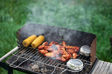 Grilled meat with vegetables and camembert cheese on a barbecue grill with smoke and green grass background. BBQ chicken wings