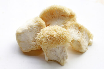 Fresh lion's mane mushroom. (Yamabushitake Mushroom)