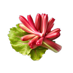 Rhubarb isolated on transparent or white background
