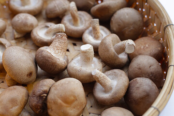 Fresh shiitake mushrooms in bamboo weave plate