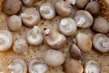 Fresh shiitake mushrooms in bamboo weave plate