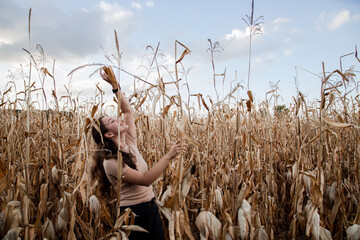 Dried corn, harvest. Girl in dry corn. Autumn aesthetics. The girl reaches out to the sky from the...