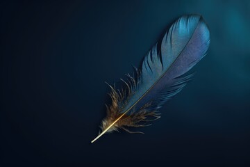 Dark background with vintage blue close up feather