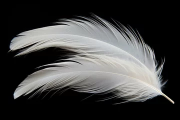 Fotobehang Black background white duck feathers alone © VolumeThings