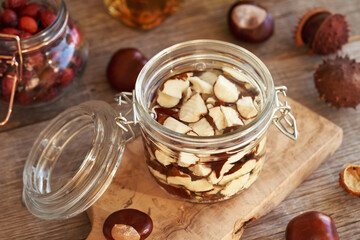 Preparation of herbal tincture from fresh horse chestnuts in autumn