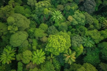 Overhead view of lush rainforest - serene jungle scenery - tree perspective - nature preservation and biodiversity concept. Generative AI
