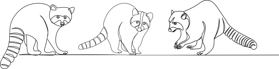 raccoons continuous line drawing, isolated vector