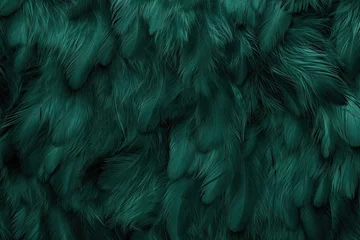 Foto op Plexiglas Vintage background with a beautiful dark green feather texture © VolumeThings