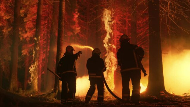 Experienced Firefighter Extinguishing a Wildland Fire Deep in the Woods. Professional in Safety Uniform and Helmet Spraying Water to Fight Large Flames Spreading Through Trees