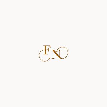 luxury design FN letter initial logo with elegant line concept
