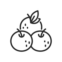 Chinese Mandarins Icon. Vector Linear Illustration of Traditional Lunar New Year Fruit - Symbol of Chinese New Year. Festive Oriental Emblem for Celebration and Luck.