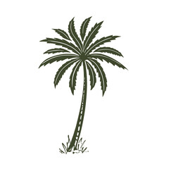 Palm tree hand drawn in sketch style. Illustration for advertising summer travel. Isolated on white background. Vector.