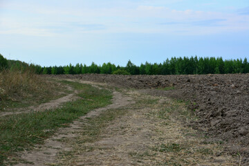 country road on the plowed field with forest line copy space 