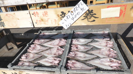 魚の干物
