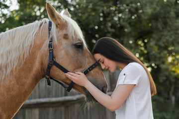 Fototapeta premium Beautiful woman with adorable horse outdoors. Lovely domesticated pet