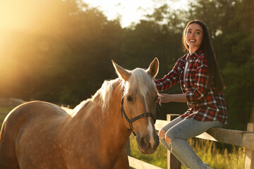 Beautiful woman with adorable horse outdoors on sunny day. Lovely domesticated pet