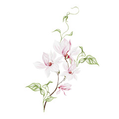 Fototapeta na wymiar Watercolor wedding magnolia bouquet.