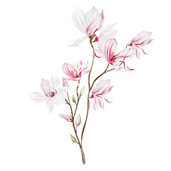 Watercolor wedding magnolia bouquet.