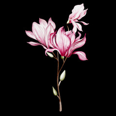 Watercolor wedding magnolia bouquet. - 666555917