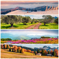 Set of beautiful panoramic views of the four seasons. Splendid landscapes of snowy mountains, blooming olive garden, colorful countryside and foggy valley arranged in a square. - obrazy, fototapety, plakaty
