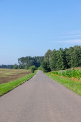 asphalting a new highway in the field
