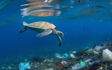 Fototapeta premium sea turtle swims in the ocean among the garbage