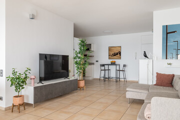 Plasma TV screen on podium and soft sofa in modern apartment