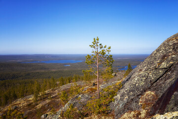 Landscapes overlooking the lake. Kola Peninsula, Arctic Circle, Russia