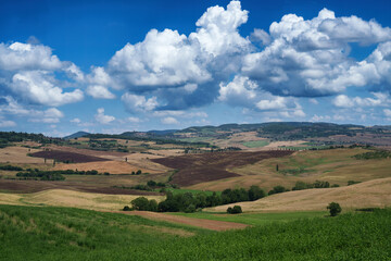 Fototapeta premium Rural landscape in Tuscany near Pienza