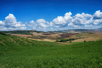 Fototapeta na wymiar Rural landscape in Tuscany near Pienza
