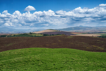Obraz premium Rural landscape in Tuscany near Pienza